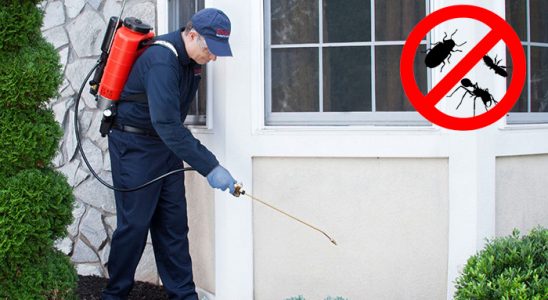 Safranbolu Fare İlaçlama böcek ilaçlama ve haşere kontrolü — ilaclama-tr.com